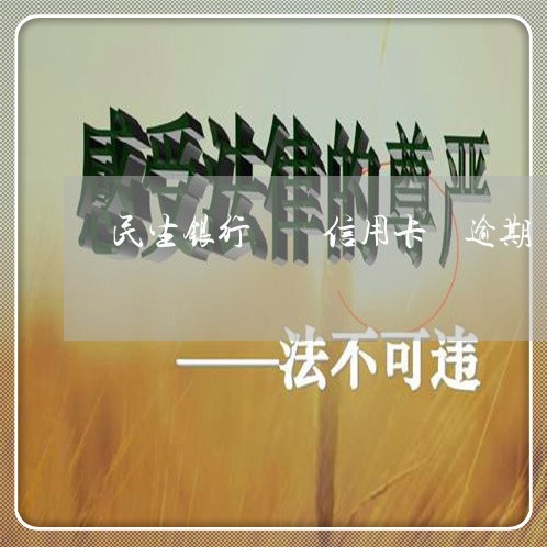 民生银行  信用卡 逾期